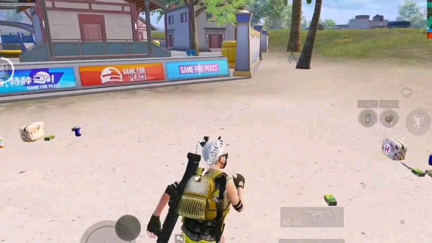 和平精英「雪花」直装辅助